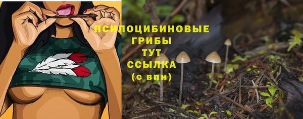 прущая мука Заволжск